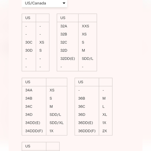 3pc VS For Love & Lemons Camila Floral Lace Bra M Thong Panty M Garter Belt S Sm - Picture 13 of 14